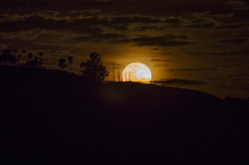 Foto - Paisagens Paraná 