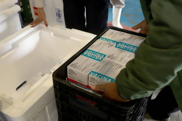 Doses Vacina COVID-19 Liberadas no Paraná
