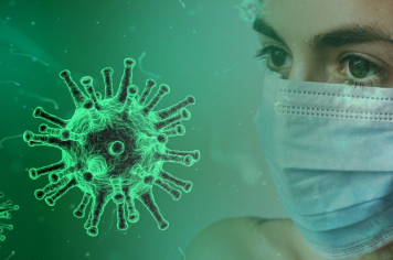 Mais de 203 óbitos causados pela Influenza H3N2 no estado.